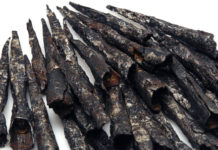 Schlacht am Harzhorn in Landesausstellung in Braunschweig