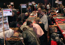 Erfolgreiche 8. Münzbörse in Hall in Tirol