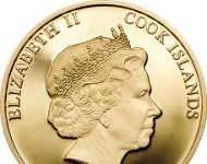 Shades of Nature: Eine Biene wie unter dem Mikroskop