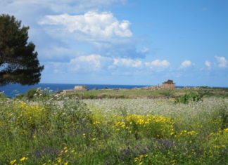 Blühendes Sizilien Teil 5