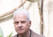 Die Sonntags-Treffen