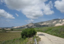 Blühendes Sizilien Teil 6