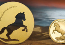 Mongolian Nature 2014 mit Wildpferd fortgesetzt