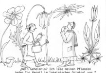Unser Cartoon: Franklins Welt