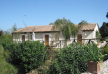 Blühendes Sizilien Teil 8