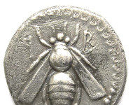 Sparkasse Speyer zeigt Bienen und Imkerei auf Münzen