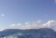 Neuigkeiten von Stevensons Schatzinsel?