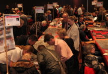 „Numismatisches Wochenende“ in Hall in Tirol