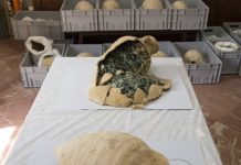 600 kg römische Münzen in Amphoren gefunden