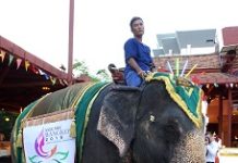 29. MDC in Thailand