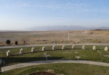 Willkommen im Iran! Teil 6: Von Lehmfestungen, Grabtürmen und Xusro II.