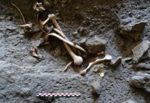Archäologen stoßen in Pompeji auf Goldmünzen