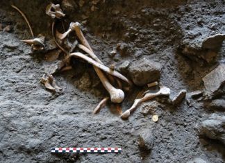 Archäologen stoßen in Pompeji auf Goldmünzen