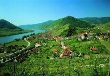 11. Wachauer Münzbörse in Spitz an der Donau