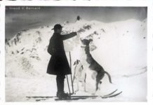 Goldmünze ehrt berühmtesten Hund der Schweiz