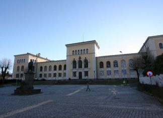 Diebstahl im Bergener Universitätsmuseum