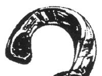 Die Eucoprimo trifft sich in Magdeburg