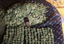 Der Münzschatz von Meckel