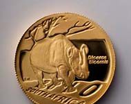 SAGCE hilft Nashörnern mit Gold