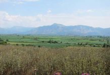 Numismatisches Tagebuch einer Reise quer durch Griechenland – Teil 2