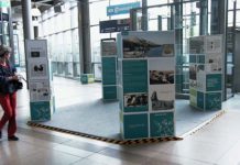 „Kriminalarchäologie“ – Eine Ausstellung des RGZM im Bahnhof Mainz