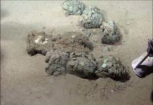 „Black Swan“-Schatz aus Schiffsfund weiter umkämpft