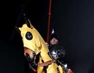 Neue Dauerausstellung in Schwyz: Die „Entstehung der Schweiz“