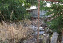 Bericht offenbart untragbare Zustände in Museumsarchiven