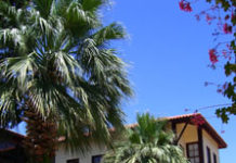 Reisetagebuch einer Numismatikerin durch die Türkei (2009) – Teil 1