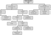 Die Fürsten von Solms