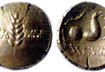 Fälschungen von Cunobelin