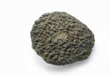 Schätze der Bronzezeit aus der Sammlung Degussa