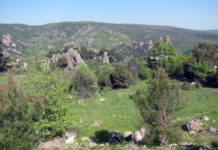 Türkischer Frühling – Teil 3