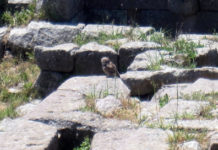 Türkischer Frühling – Teil 5