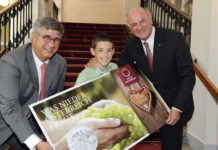 Anprägung 10-Euro-Münzen Niederösterreich