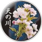 10292_0cc81cee