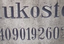 Ein Plädoyer für den Goldstandard: Die Prägungen des Josef Wild