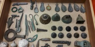 IADAA analysiert Jahresbericht des Zolls