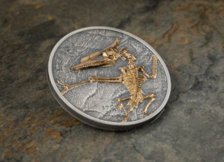 CITs neuer Evolutions-Wurf: Pterosaur