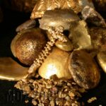 01Gold IDM-002 (AWW)