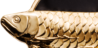 Dragonfish – Goldener Arowana