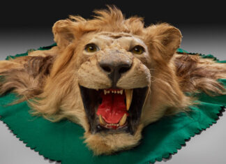 Rautenstrauch-Joest-Museum zeigt die Währung der Diplomatie