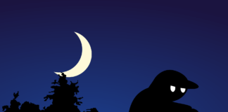 Sammlung antiker Münzen gestohlen