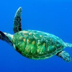 01_1280px–_panoramio_(647)