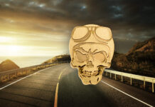 Biker Skull