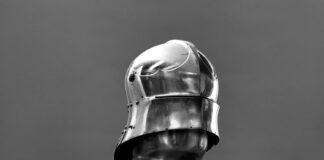 Maximilians Reise nach New York