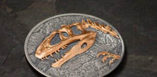 Evolution of Life – Sinraptor