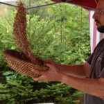 03Entspelzen-von-Emmer