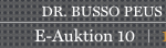 E-Auktion Online-Banner DE 582×44