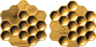 Die Gewinner des COTY 2020